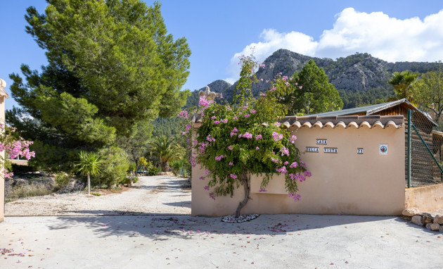 Resale - Villa - Detached - La Zarza - La Zarza Murcia