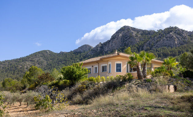 Resale - Villa - Detached - La Zarza - La Zarza Murcia