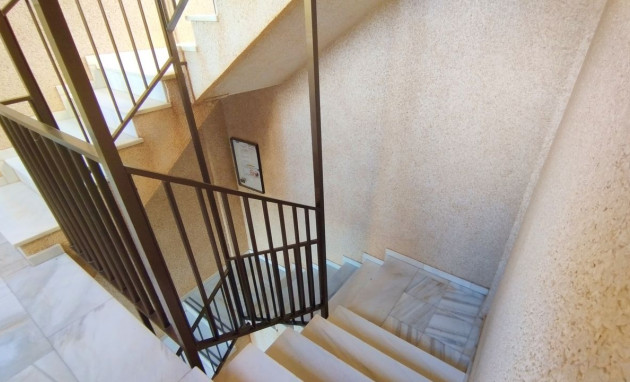 Reventa - Apartment - Torrevieja - San luis