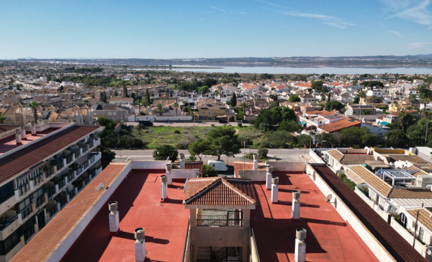 Reventa - Apartment - Torrevieja - San luis