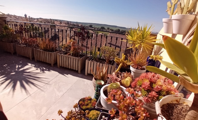 Resale - Townhouse - Algorfa - La Finca Golf