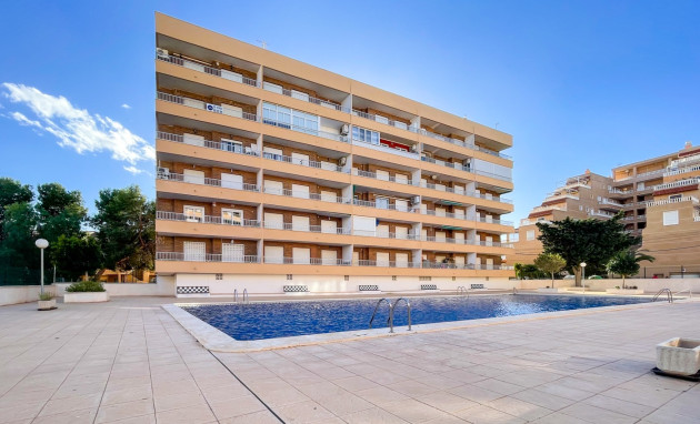 Herverkoop - Apartment - Torrevieja - Rocio del Mar