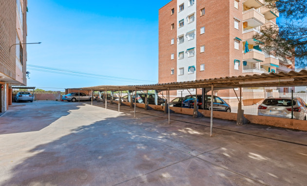 Revente - Apartment - Torrevieja - Rocio del Mar