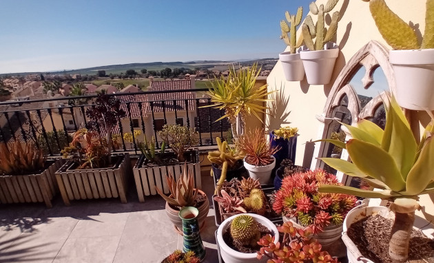 Revente - Maison de ville - Algorfa - La Finca Golf Resort