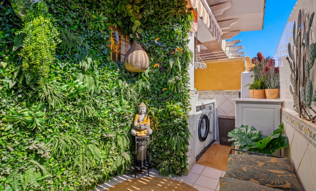 Revente - Apartment - Torrevieja - Torrevieja - Centre