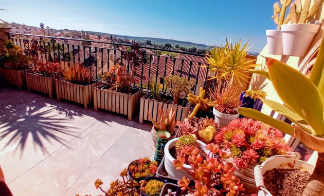 Reventa - Adosado - Algorfa - La Finca Golf