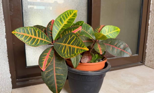 Herverkoop - Apartment - Orihuela Costa - Lomas de Cabo Roig