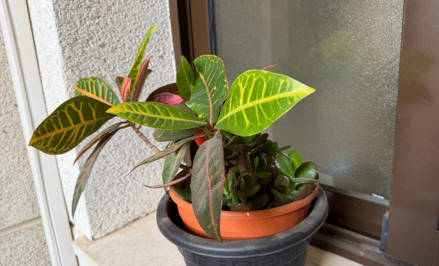 Herverkoop - Apartment - Orihuela Costa - Lomas de Cabo Roig