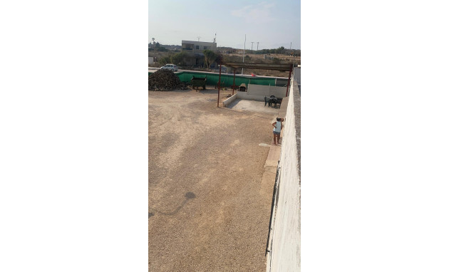 Resale - Country Property - Guardamar del Segura - Pueblo