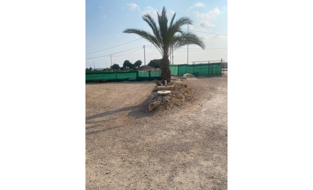 Resale - Country Property - Guardamar del Segura - Pueblo