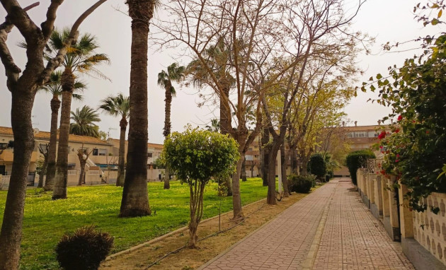 Herverkoop - Apartment - Orihuela Costa - La Regia