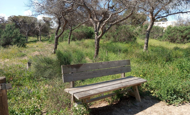 Reventa - Bungalow - Planta Baja - Guardamar del Segura - Urbanizaciones