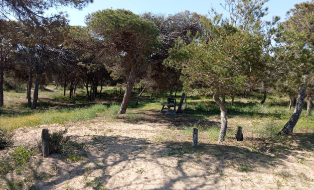 Reventa - Bungalow - Planta Baja - Guardamar del Segura - Urbanizaciones