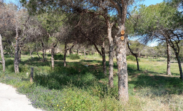 Reventa - Bungalow - Planta Baja - Guardamar del Segura - Urbanizaciones