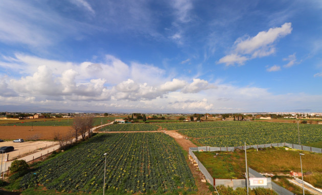 Herverkoop - duplex - Daya Vieja - Daya Vieja - Town