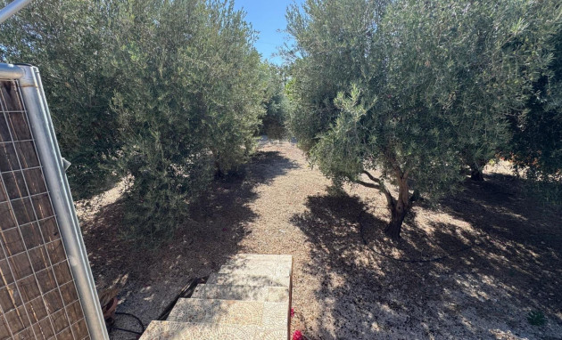 Herverkoop - Country Property - Albatera - BARRANCO SAN CAYETANO