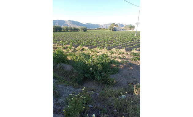 Herverkoop - Country Property - Orihuela - Correntías Bajas