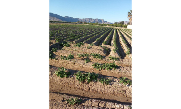 Herverkoop - Country Property - Orihuela - Correntías Bajas