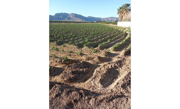 Herverkoop - Country Property - Orihuela - Correntías Bajas