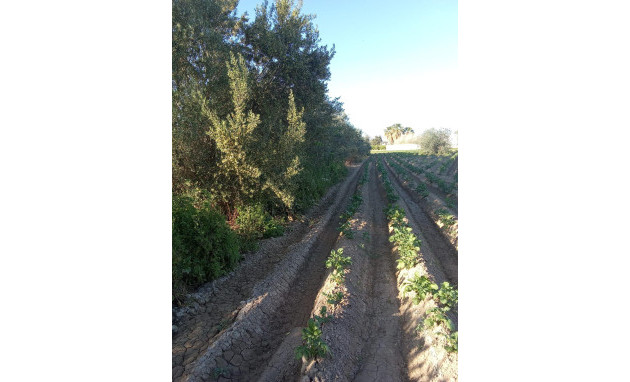 Herverkoop - Country Property - Orihuela - Correntías Bajas