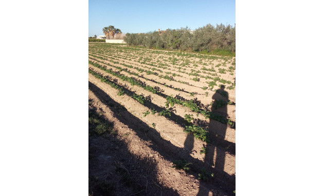 Herverkoop - Country Property - Orihuela - Correntías Bajas