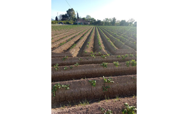 Herverkoop - Country Property - Orihuela - Correntías Bajas