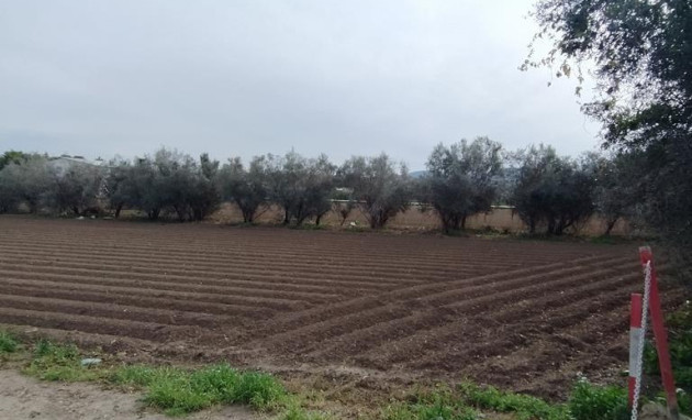 Herverkoop - Country Property - Orihuela - Correntías Bajas