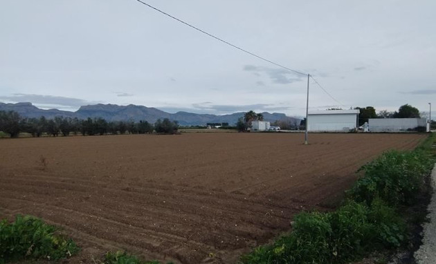 Herverkoop - Country Property - Orihuela - Correntías Bajas