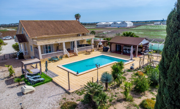 Reventa - Finca - Crevillente