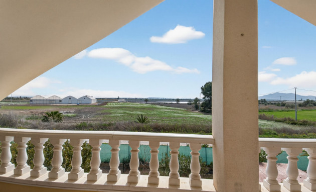 Reventa - Finca - Crevillente