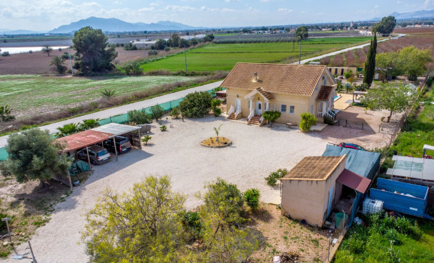 Reventa - Finca - Crevillente