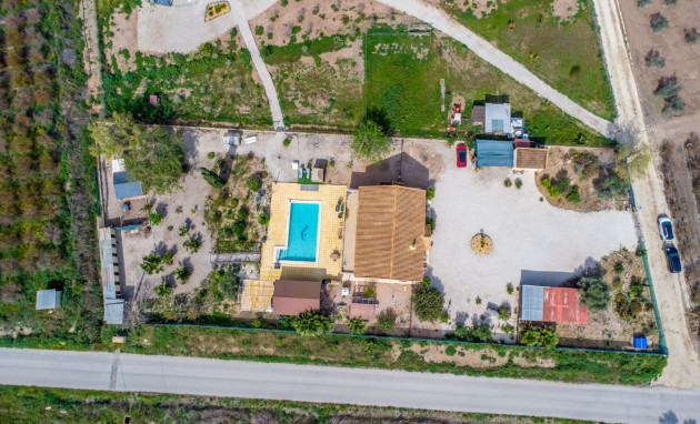 Reventa - Finca - Crevillente