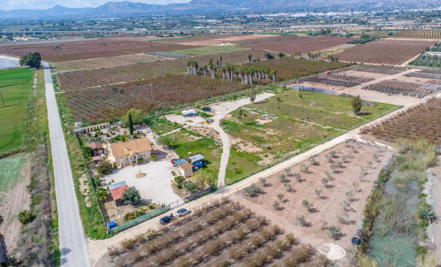 Reventa - Finca - Crevillente