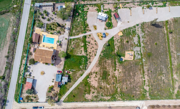 Reventa - Finca - Crevillente