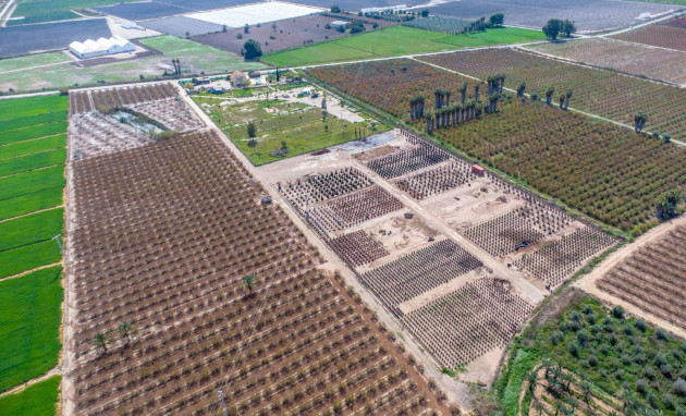 Reventa - Finca - Crevillente