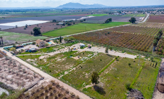 Reventa - Finca - Crevillente