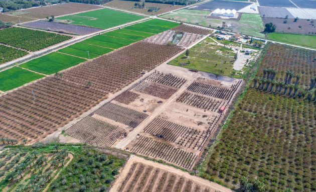 Reventa - Finca - Crevillente