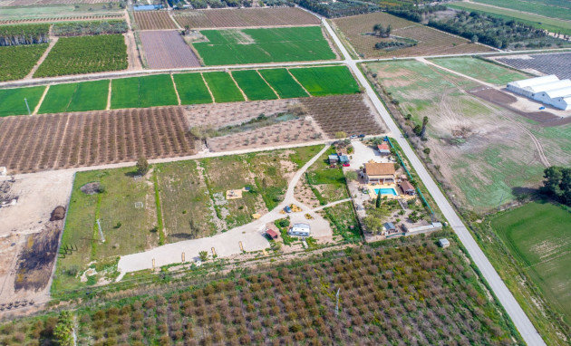 Reventa - Finca - Crevillente