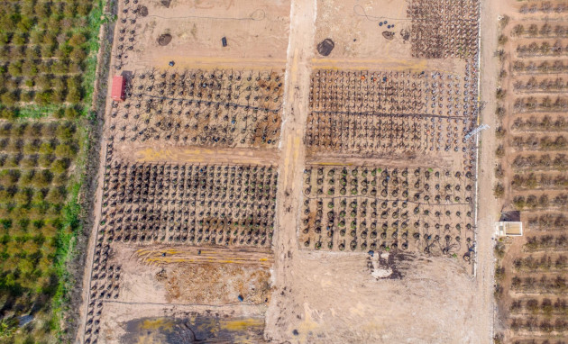 Reventa - Finca - Crevillente