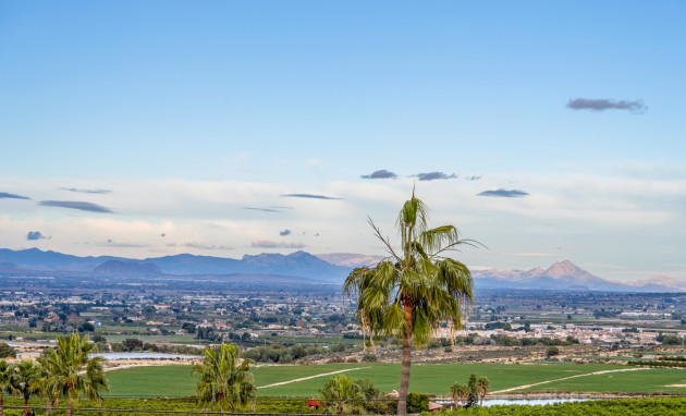 Herverkoop - Detached Villa - Algorfa - Lomas de La Juliana