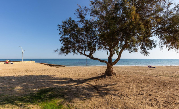 Resale - Apartment - Torrevieja - La Mata