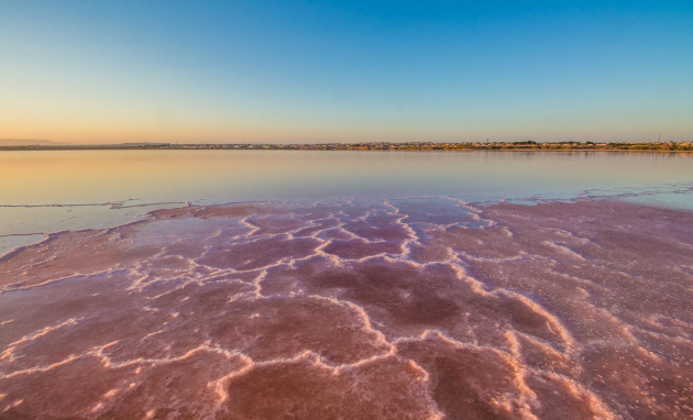 Resale - Apartment - Torrevieja - La Mata