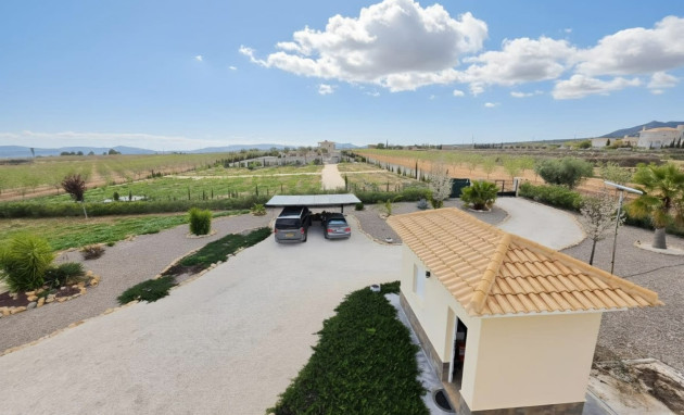 Reventa - Country Property - Pinoso - Pinoso - Country