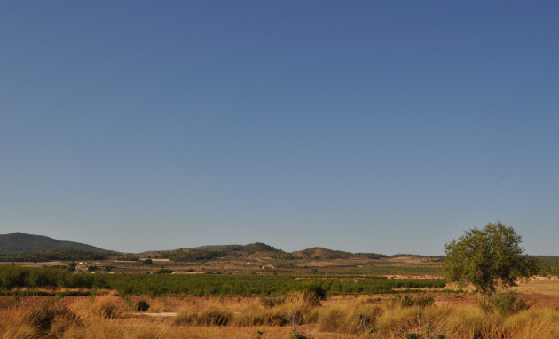 Herverkoop - Country Property - Pinoso - Pinoso - Town