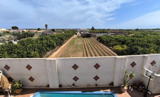 Revente - Detached Villa - Guardamar del Segura - El Raso