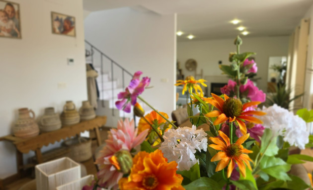 Reventa - Country Property - Pinoso - Pinoso - Country