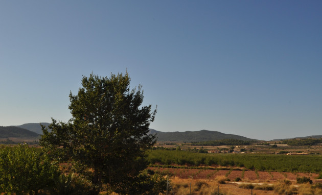 Herverkoop - Country Property - Pinoso - Pinoso - Town