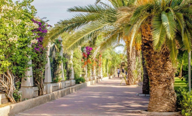 Herverkoop - Apartment - Torrevieja - Centro