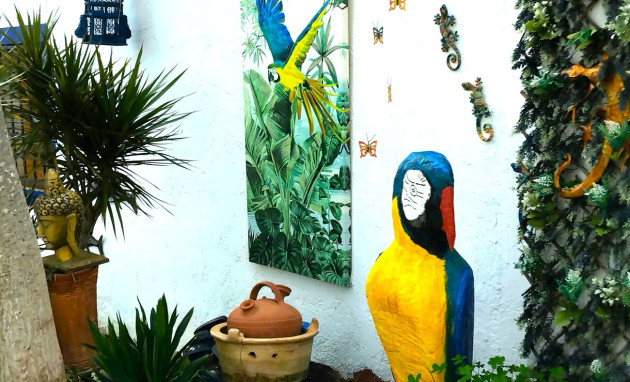 Herverkoop - Country Property - Daya Nueva - Daya Nueva - Country