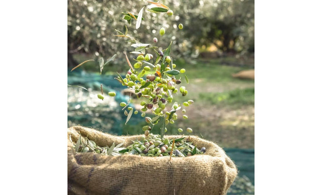 Herverkoop - Country land - Puerto Lumbreras - Nogalte